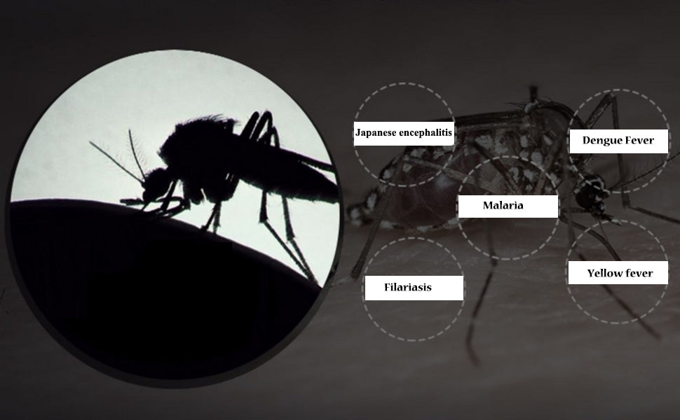 2 in 1 Mini Mosquito Killer Lamp